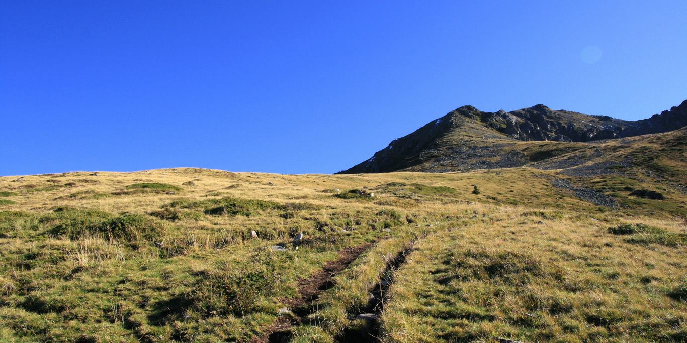pelouse alpine du Colon
